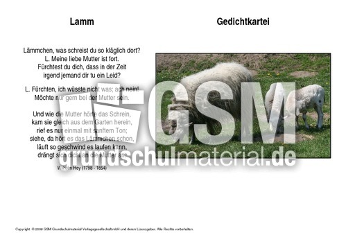 Lamm-Hey.pdf